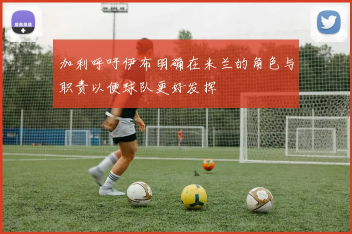 加利呼吁伊布明确在米兰的角色与职责以便球队更好发挥