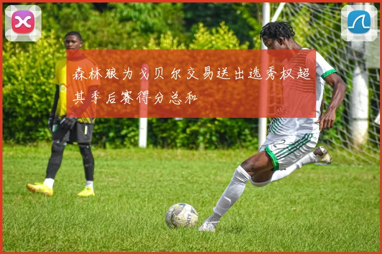 森林狼为戈贝尔交易送出选秀权超其季后赛得分总和