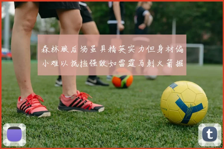 森林狼后场虽具精英实力但身材偏小难以抵挡强敌如雷霆马刺火箭掘金